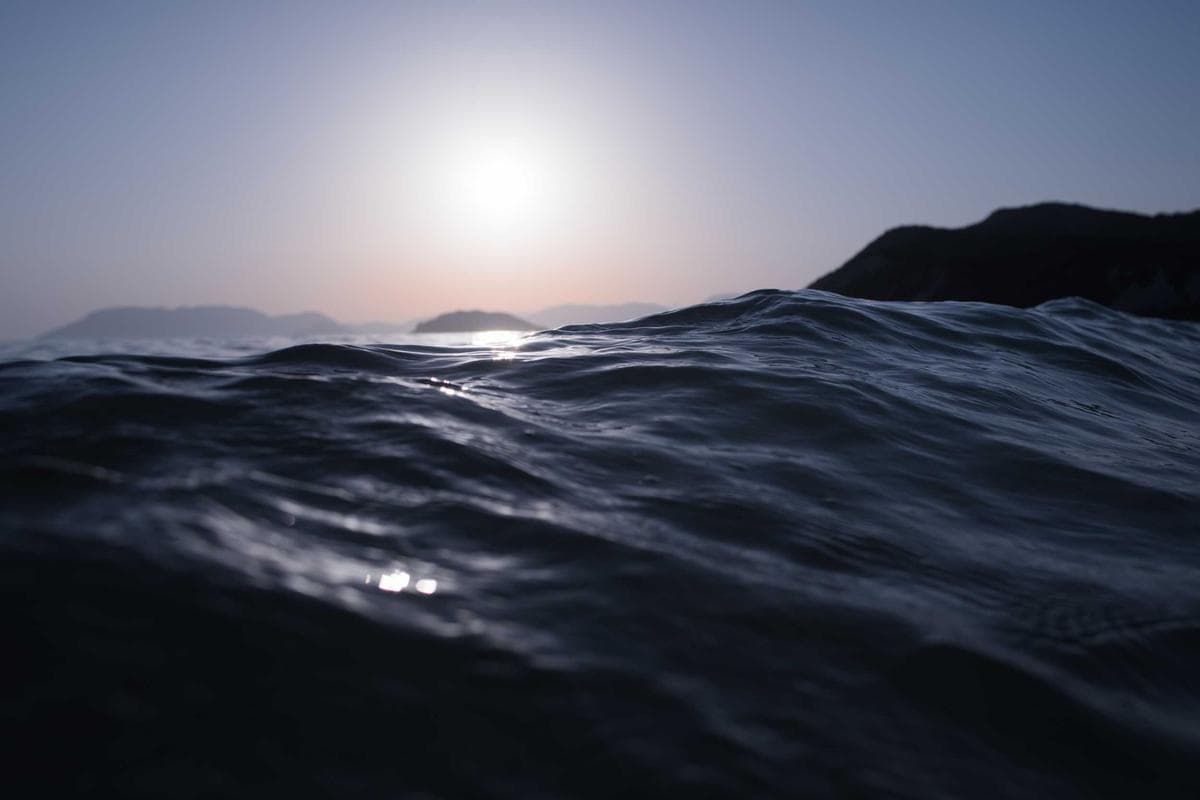 Physicality Still Wins