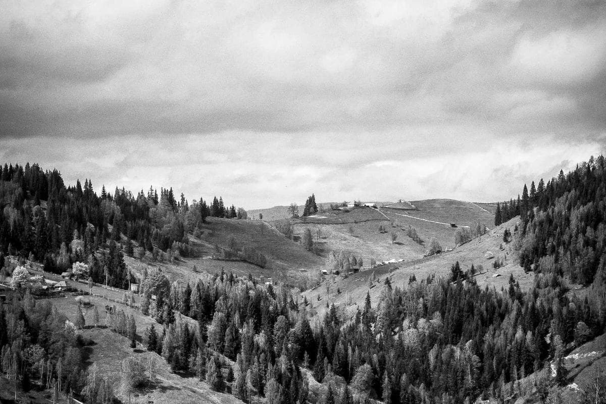 Building from the Middle Rounds